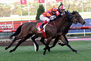 FILLY DOES HER DAD PROUD